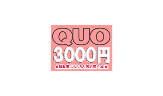 QUOカード3000円が付いてる！